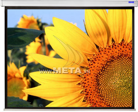 Màn chiếu điện Prima 70 x 70 inch