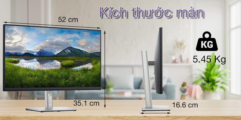 Màn hình Dell P2423DE 2