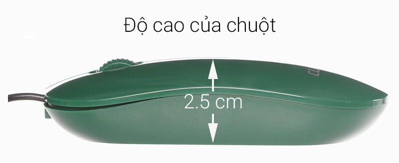 Chuột c Chuột c