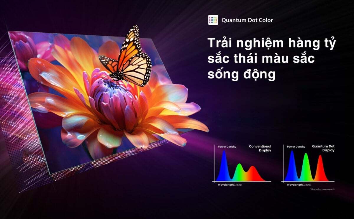 Màu sắc sống động với Quantum Dot Color Smart Tivi Toshiba 43M450NP