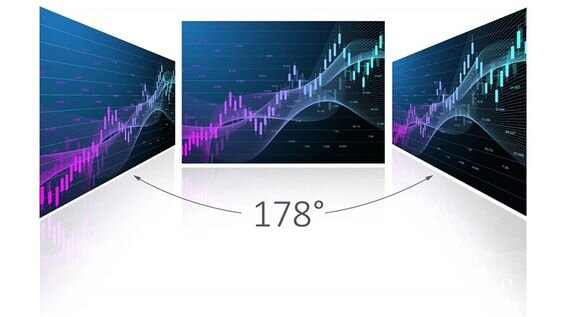 Màn hình ViewSonic VA2209-H 22 inch (Ảnh 2)