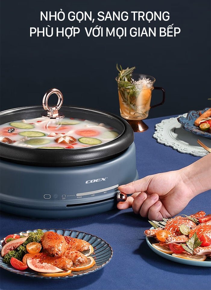 Coex CH-2119 có nút gạt chỉnh nhiệt độ Coex CH-2119