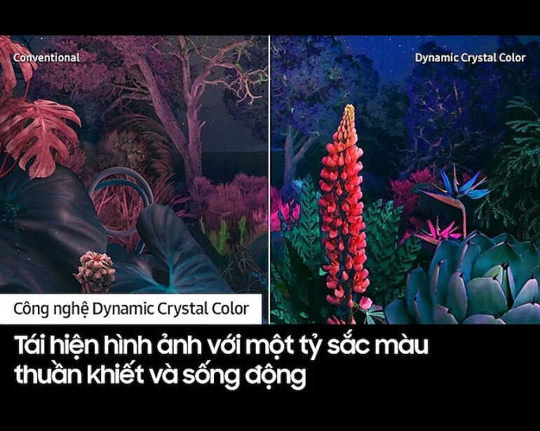 Smart tivi Samsung 4K 43 inch UA43CU8000