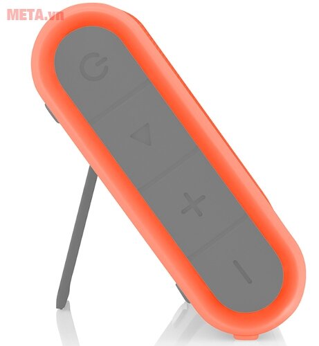 Loa bluetooth chống nước Braven 405