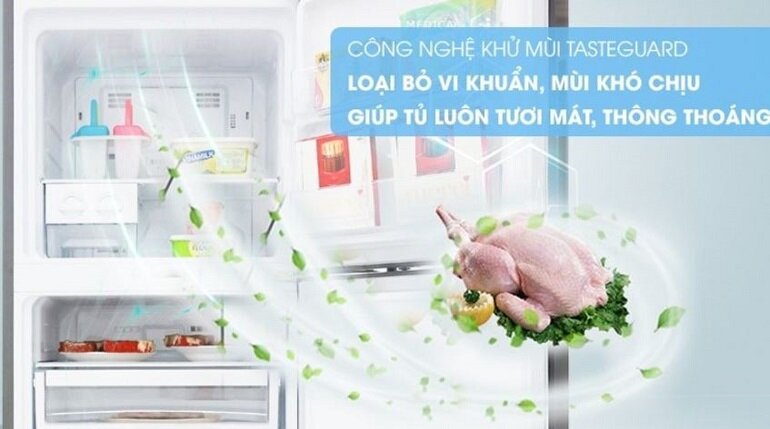 tủ lạnh Electrolux ETB4600B-H và Electrolux ETB4600B-G