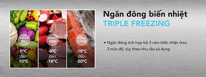 Có ngăn biến nhiệt Tripple Freezing Tủ đông Hòa Phát 1 ngăn 2 cánh HSF AD6357.C1