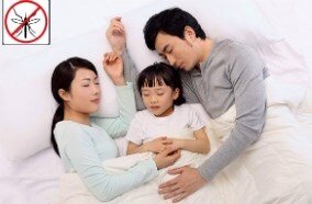 Quạt phun sương Kangaroo KG-203 Quạt phun sương Kangaroo KG-203