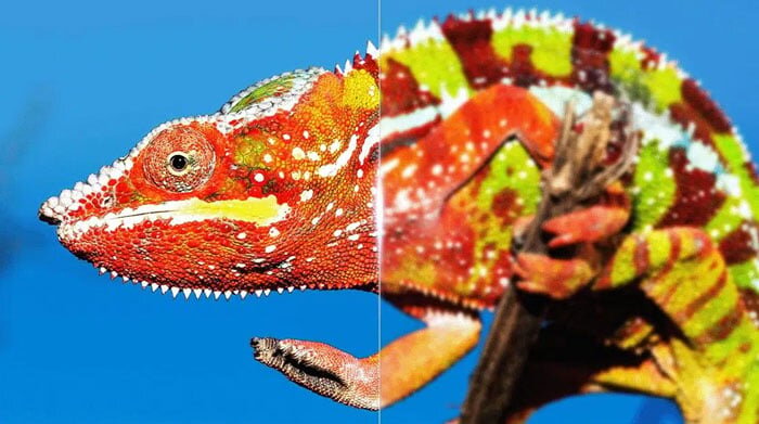 Ai-Clarity giúp giảm nhiễu cho hình ảnh chi tiết, rõ nét