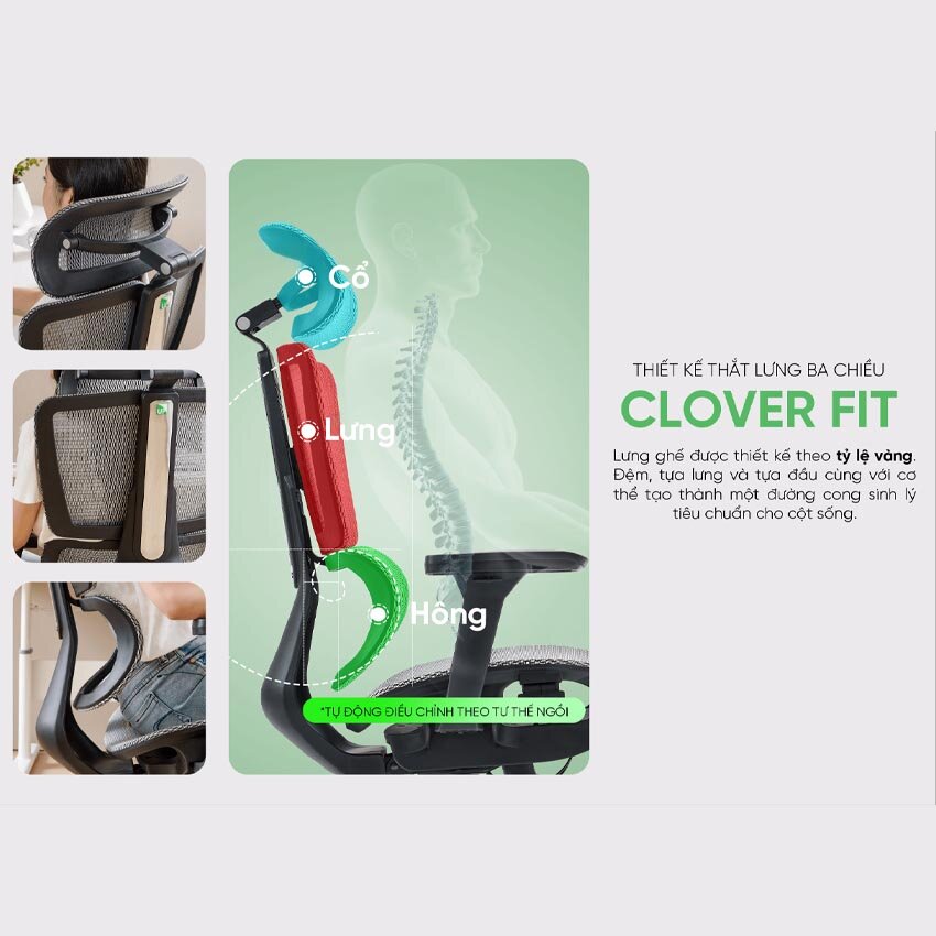 Ghế công thái học Upgen Revolution