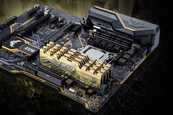 RAM Desktop Apacer Panther Golden 16GB (Ảnh 5)