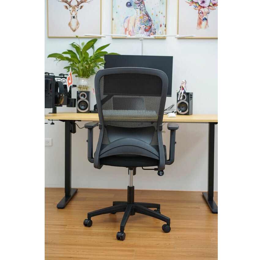 Ghế công thái học EDRA EEC221