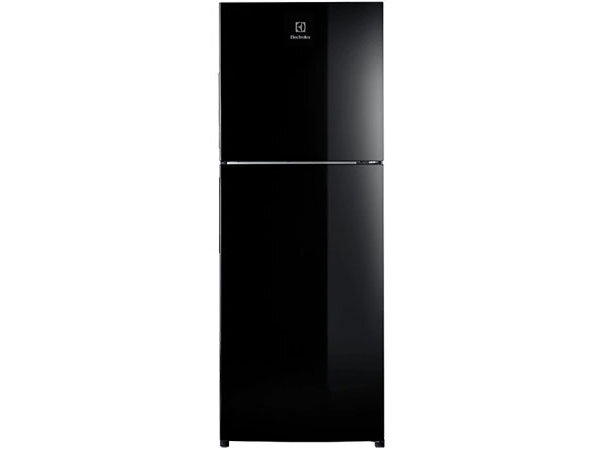 Tủ lạnh 2 cánh ngăn đá trên 256 lít Tủ lạnh 2 cánh