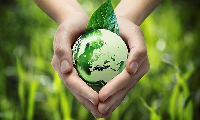 Tủ đông Sanaky 660L VH-6699HY3 Tủ đông Sanaky 660L VH-6699HY3