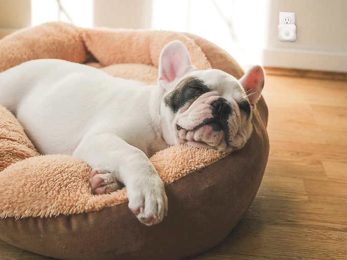 Không tạo tiếng ồn lớn, hoạt động êm ái Không tạo tiếng ồn lớn, hoạt động êm ái