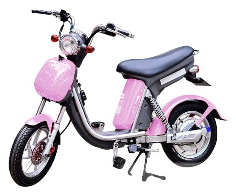 Xe đạp điện Nijia 2016