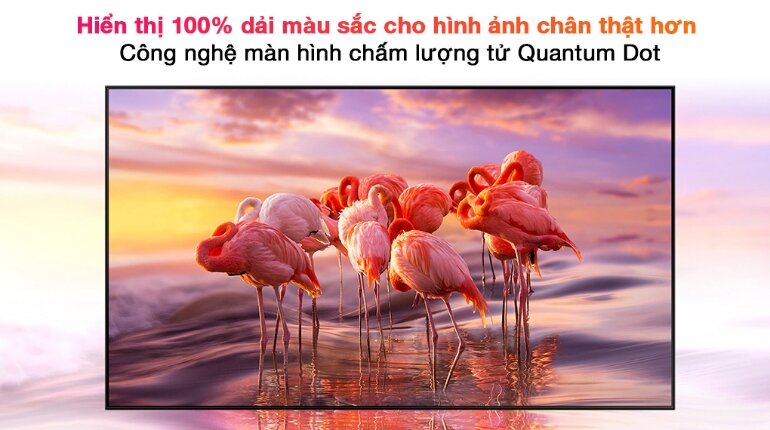 Smart Tivi QLED Samsung 75 inch 4K QA75Q70A