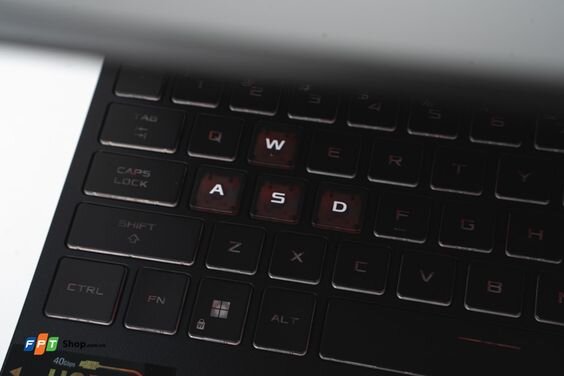 ASUS TUF Gaming FA507NU-LP131W (ảnh 10)