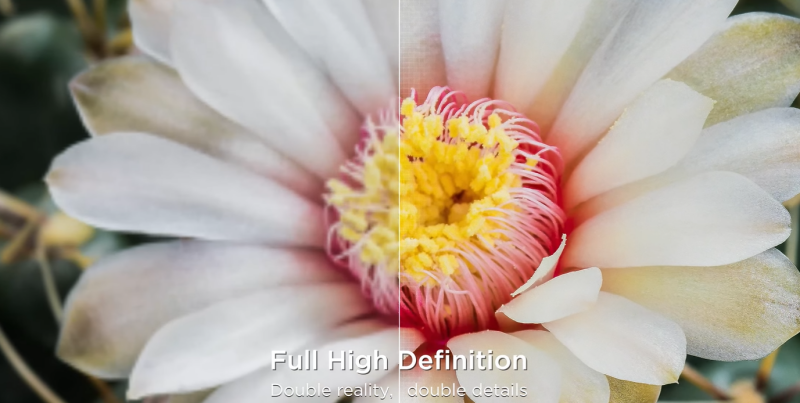 Android Tivi TCL Full HD 43inch 43S5400A Android Tivi TCL Full HD 43inch 43S5400A