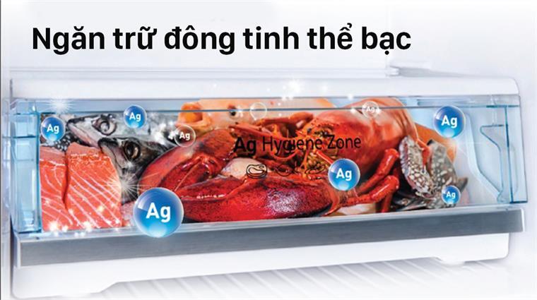 Tủ lạnh Panasonic Inverter 366 lít NR-TL381BPKV 4 yH5BAEAAAAALAAAAAABAAEAAAIBRAA7