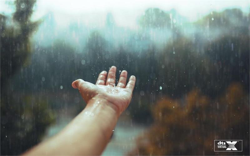 Smart Tivi LED LG 4K 55 inch 55SM8100PTA NanoCell TV