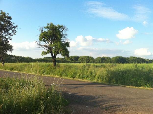 Điện thoại iPhone 4 8GB