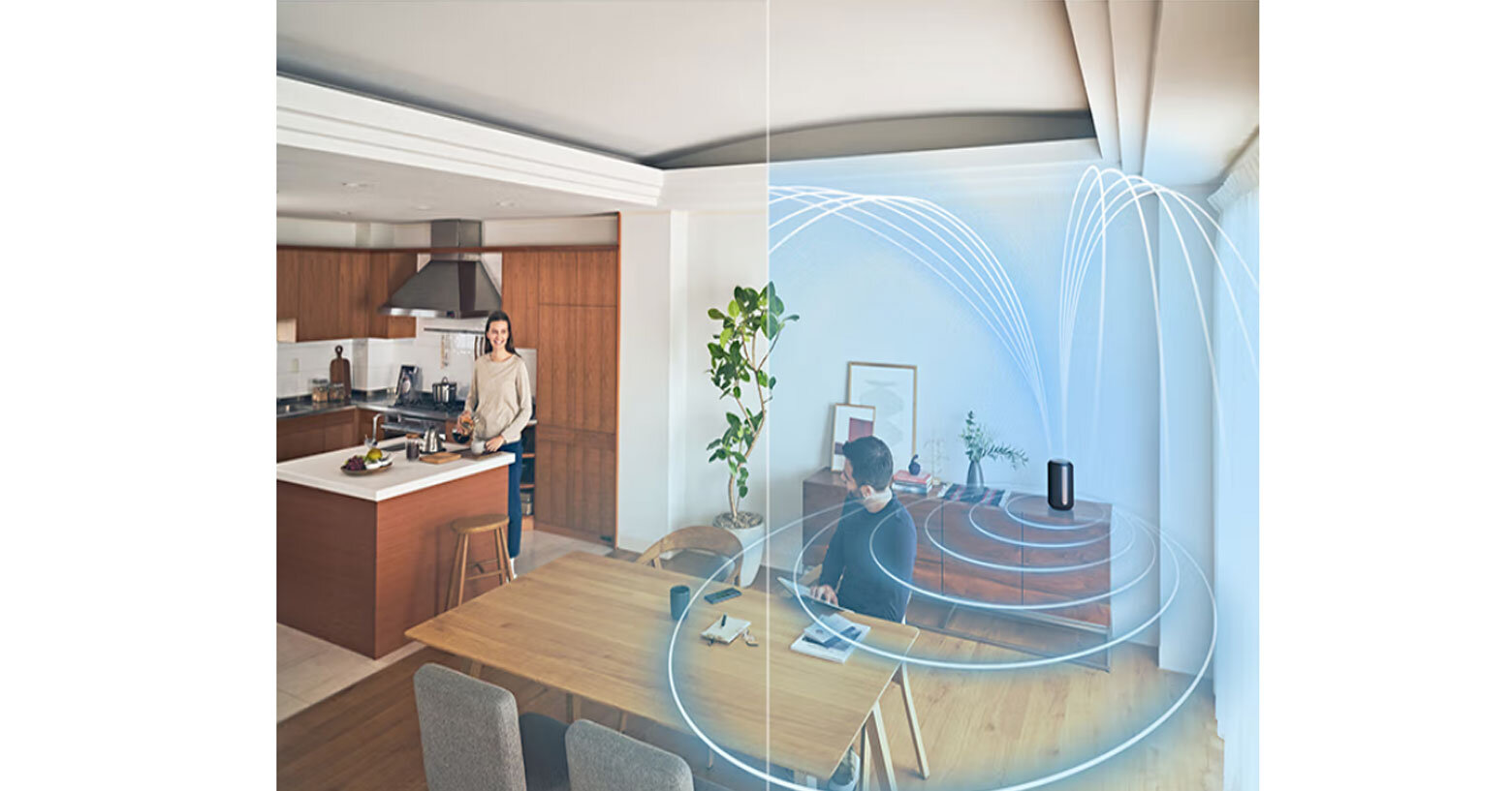 Loa không dây cao cấp Sony SRS-RA3000