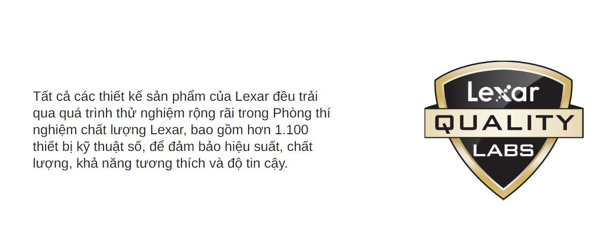 Ổ cứng SSD Lexar NM100 