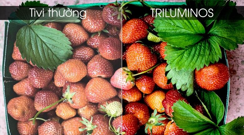 Smart Tivi Sony 55 inch 55X8500G, 4K Ultra HDR, Android TV