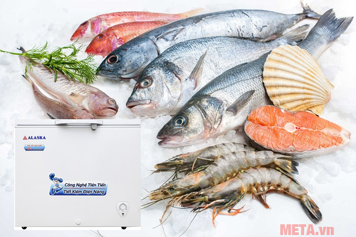 Tủ đông Alaska BD-300 (300L) Tủ đông Alaska BD-300 (300L)