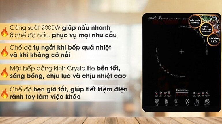 Bếp từ dương 1 vùng nấu Kangaroo KG18IH2
