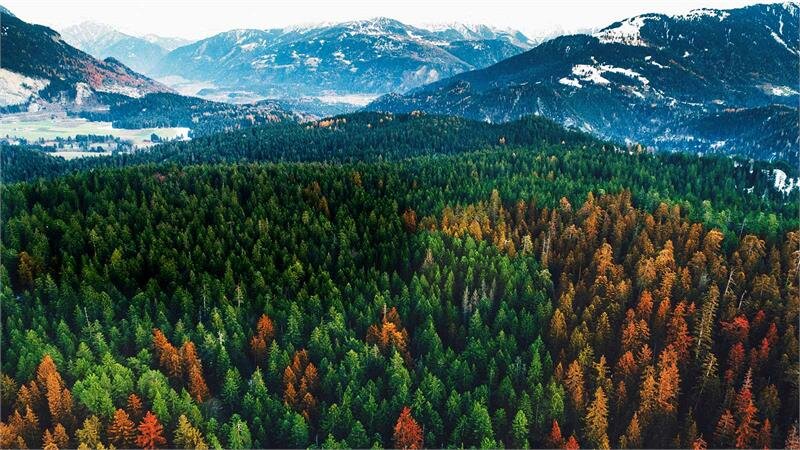 Smart TiVi LG UHD HDR 50UK6300PTE 50 inch