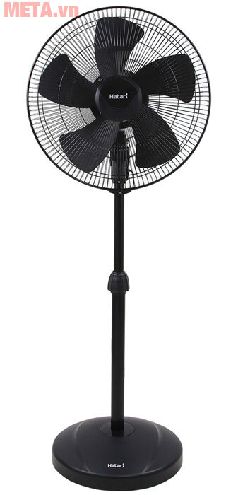 Quạt cây đen Hatari IP22M1/IP22M5
