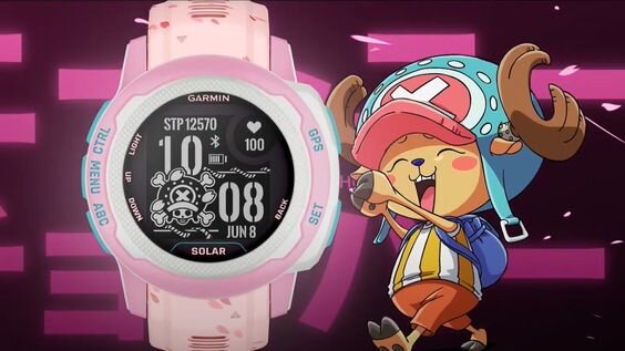 Garmin Instinct 2S Solar One Piece Chopper