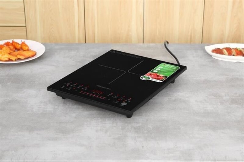 Bếp từ đơn Kangaroo KGIC22S2