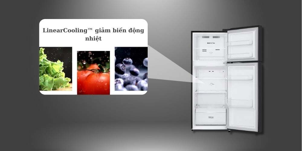Công nghệ LINEARCooling - Giữ thực phẩm tươi ngon lâu hơn Tủ lạnh LG LTB21BLMD
