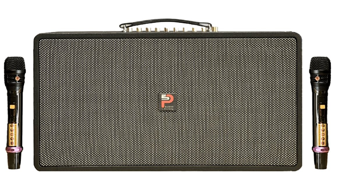 Loa xách tay Prosing PS-28