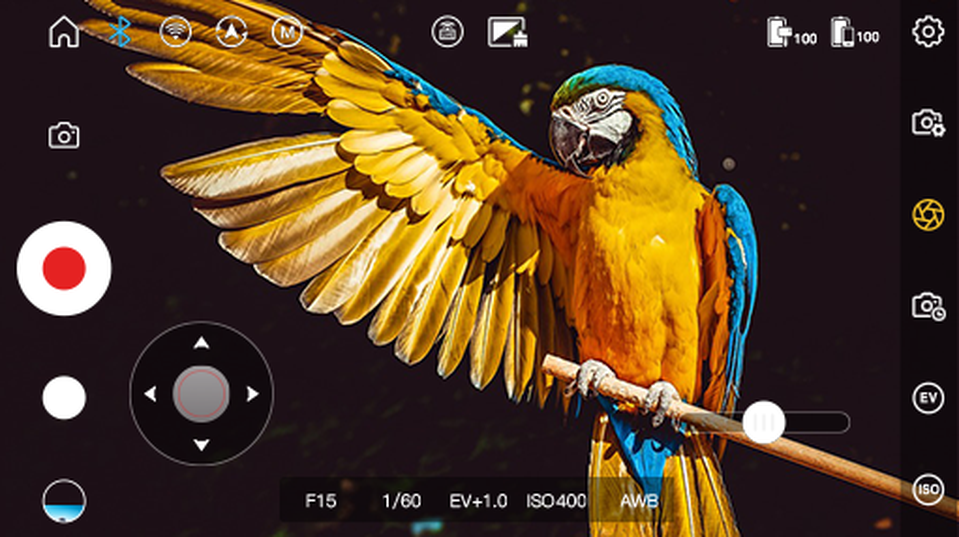 Gimbal chống rung Zhiyun Weebill Lab