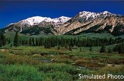 Máy chiếu BenQ MS506 - 3200 Ansi Lumens