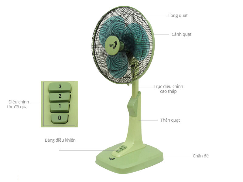Quạt lửng Asia A16017 Xanh lá