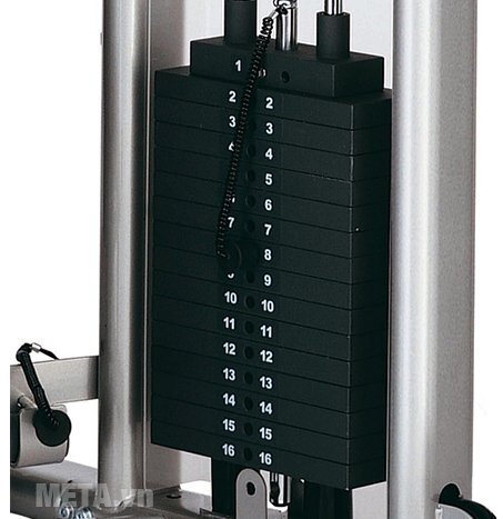 Máy móc đùi sau Tiger Sport TG-140 Máy móc đùi sau Tiger Sport TG-140