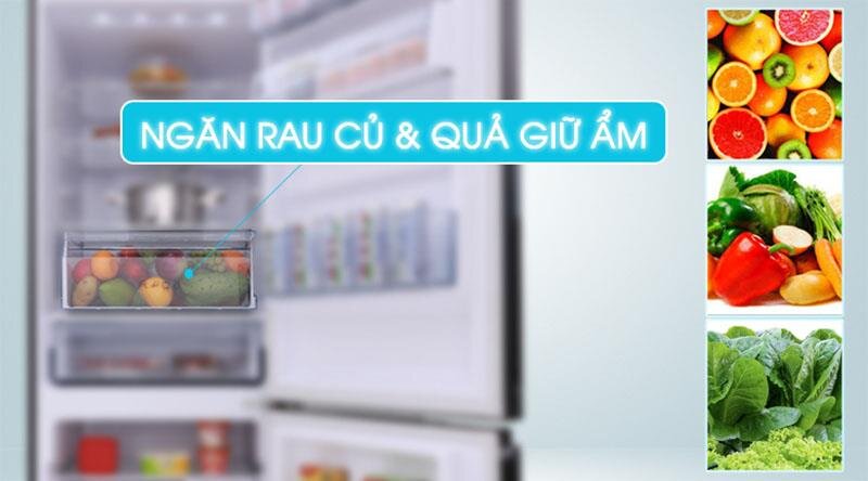 Tủ lạnh Panasonic NR-BV328GKV2 - 290Lít Inverter Cấp đông mềm