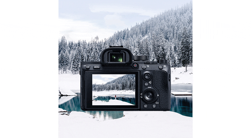 Thẻ nhớ SD Lexar Professional 800x SDXC V30 32Gb (R/W:120/45M)