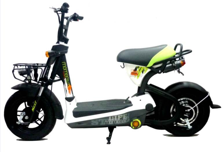 Xe đạp điện Giant 133M