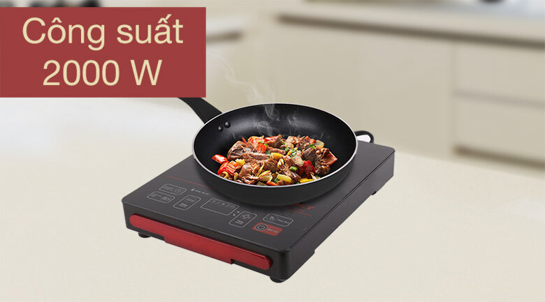 Bếp hồng ngoại Sanaky SNK-2101HG