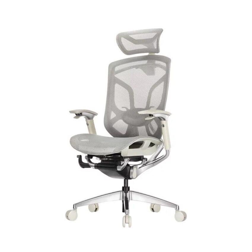 Ghế Công Thái Học - GTChair Dvary Butterfly - Black - Grey