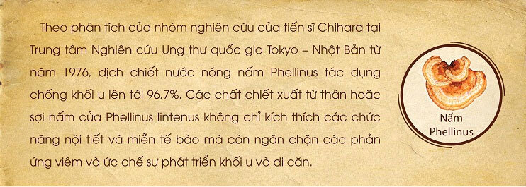 Thực phẩm chức năng bảo vệ sức khỏe Beta Glucan Ball 60g - Khắc tinh tế bào ung thư