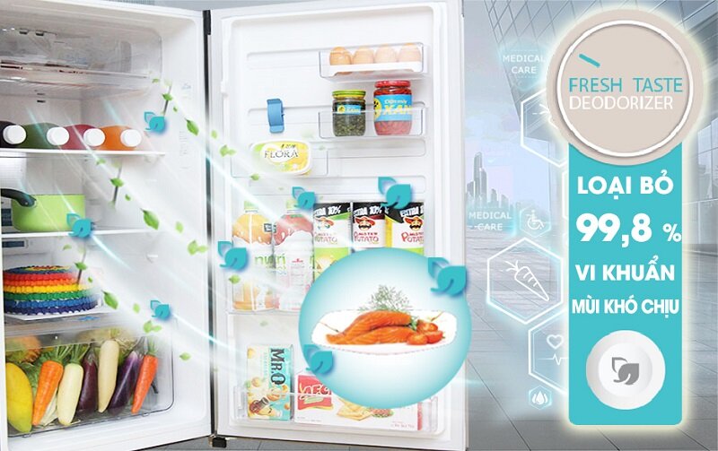 tủ lạnh 2 cửa Electrolux ETB5702BA 532l