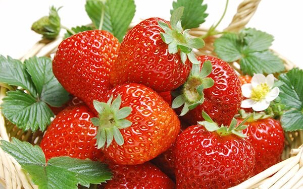 Máy xay sinh tố Kangaroo KG4B3 Máy xay sinh tố Kangaroo KG4B3