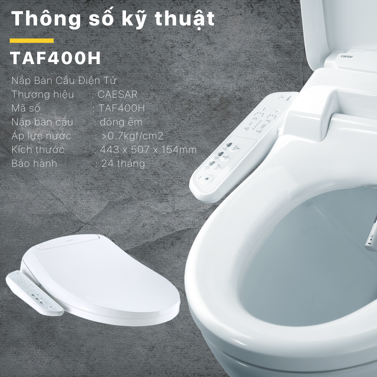 Nắp rửa điện tử CAESAR TAF400H (TAF400H-PW)