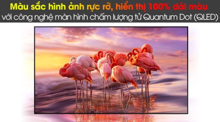 Smart Tivi QLED Samsung 65 inch 4K QA 65Q80A